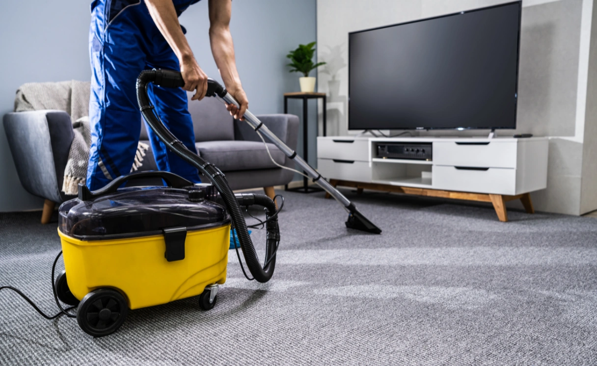 Extract Carpet Repair Kangaroo Ground Contact Office